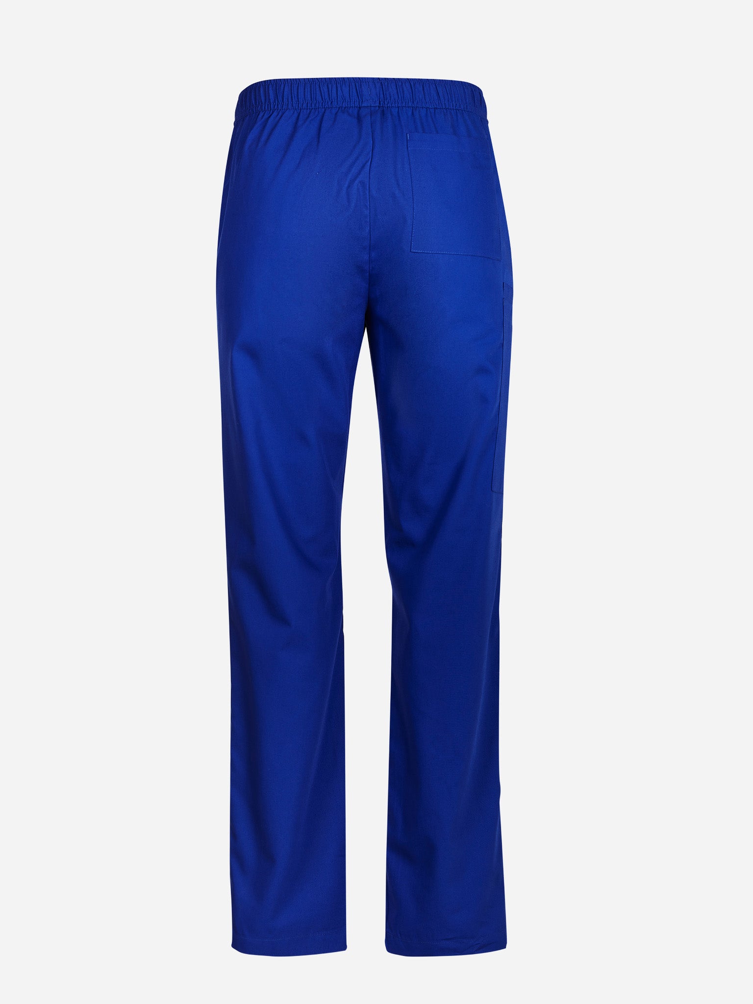 Inaura CSP143ML Tokyo Mens Scrub Pant in Royal - back view