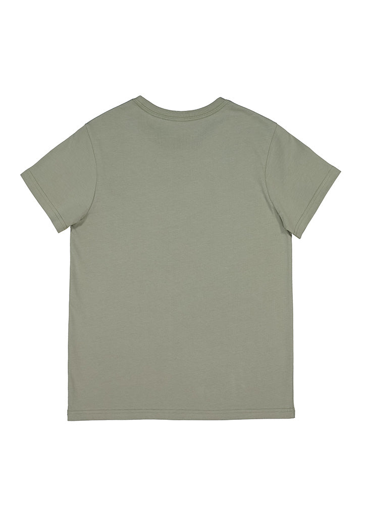 Basis Womens Short Sleeve Tee - X1001W in Pistachio